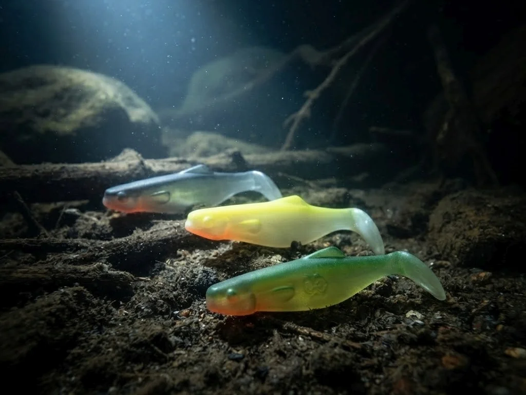 Mini Shad