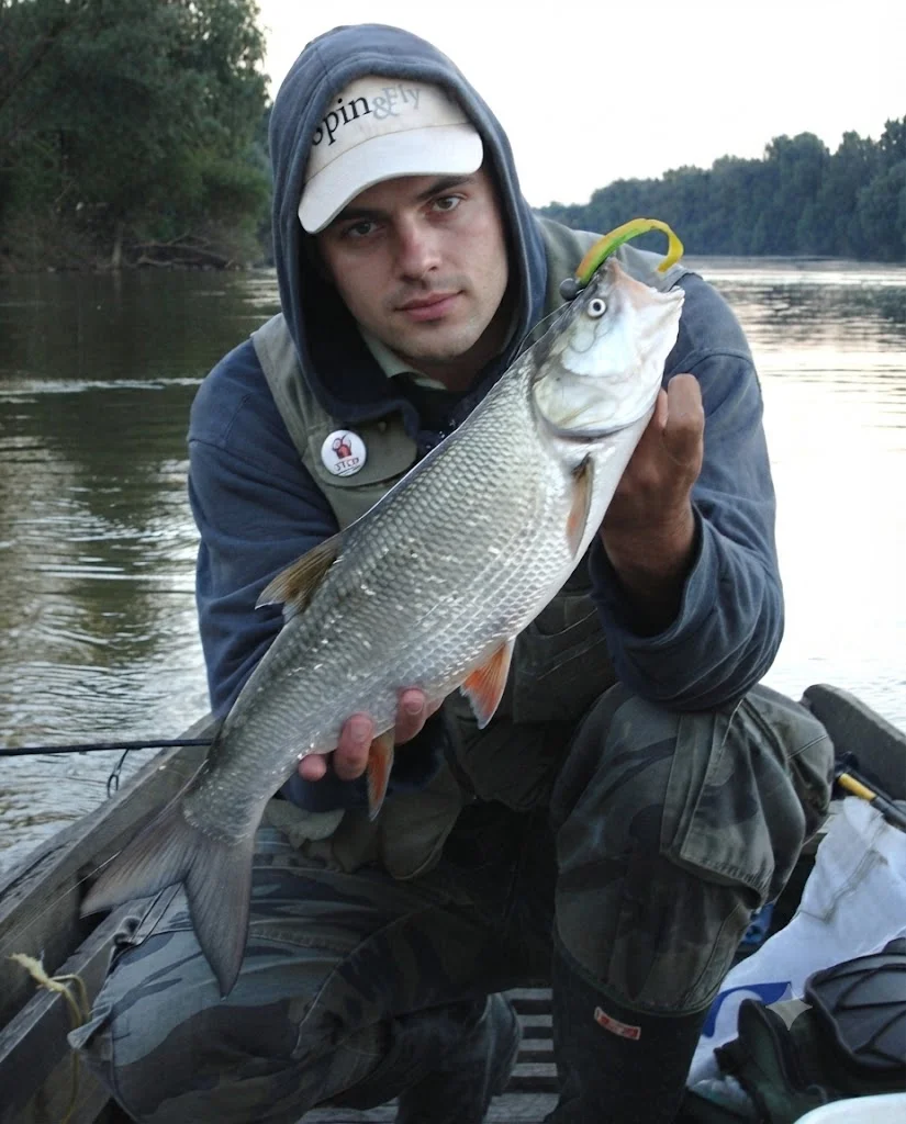 ORKA soft lures for Asp (Leuciscus aspius)
